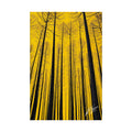Trees of Life - Fine Art Print