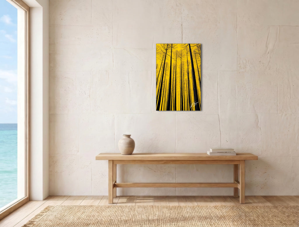 Trees of Life - Fine Art Print