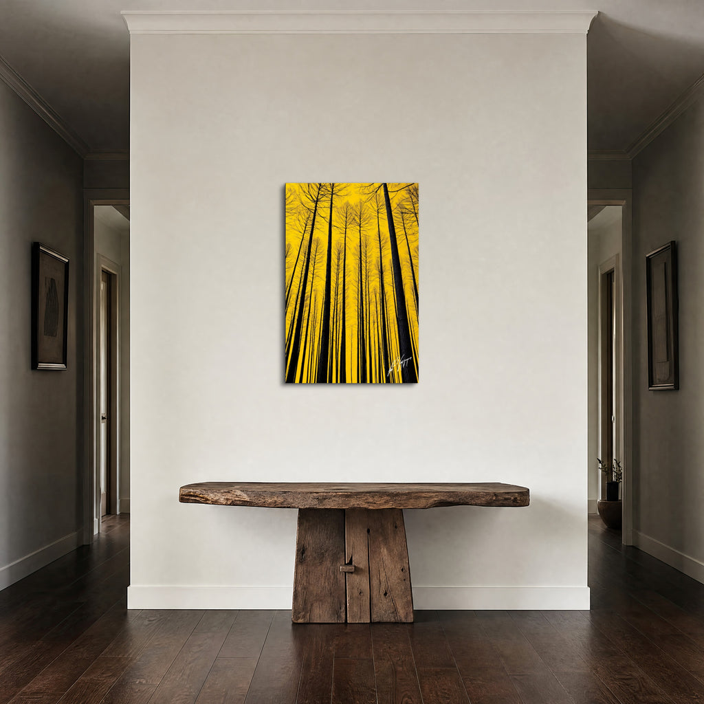Trees of Life - Fine Art Print