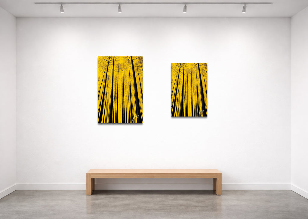 Trees of Life - Fine Art Print