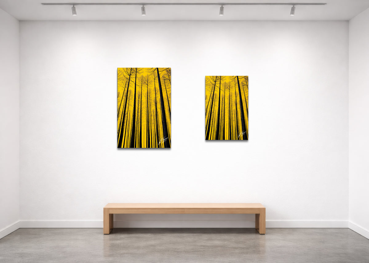 Trees of Life - Fine Art Print